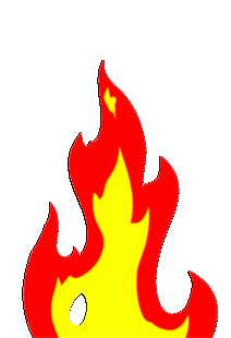 𝐍𝐄𝐖 𝐒𝐄𝐑𝐕𝐈𝐂𝐄𝐒